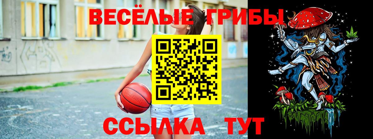 Псилоцибиновые грибы GOLDEN TEACHER  Галлюциногенные грибы прущие грибы  Щёлково  Вход с VPN 