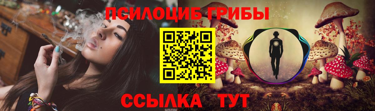 Псилоцибиновые грибы Psilocybine cubensis Щёлково